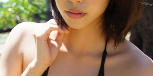 <?php the_title(); ?>